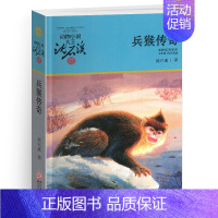 兵猴传奇 [正版]黑熊舞蹈家沈石溪小学四年级五年级全集全套书浙江少年儿童出版社版完整版动物小说大王品藏书系生课外阅读适用
