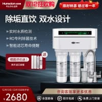 汉斯顿/Hunson家用厨下直饮RO反渗透净水器净水机1503 双膜双水直饮 滤芯更换提醒