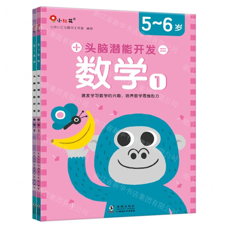 [N]头脑潜能开发(数学5-6岁共2册)-9787511059406