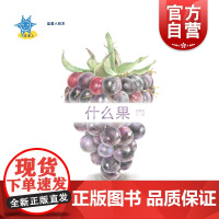蓝星人绘本:什么果 梁惠然 著 少年儿童出版社