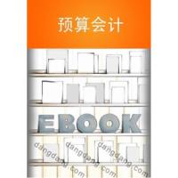 正版新书]预算会计洪向东9787509519011