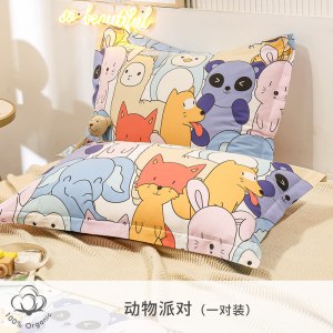 枕头套一对装双人单人学生宿舍枕大号家用枕套48x74cm春夏秋冬季