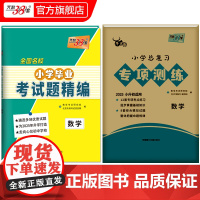 2025版天利38套小学总覆习专项训练 数学 牛皮卷专项突破练习试卷巩固基础知识模拟试题小升初真题卷2025全套六年
