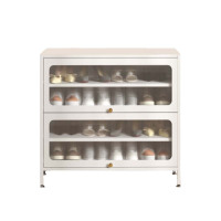 DXBG家用门口鞋柜室内入户储物柜一体翻门钢制2门4层80宽-白