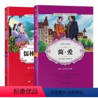 儒林外史+简爱 [正版]儒林外史+简爱 原著青少年中小学生四五六年级读物彩绘版古典文学彩图版白话文无障碍阅读书籍排行