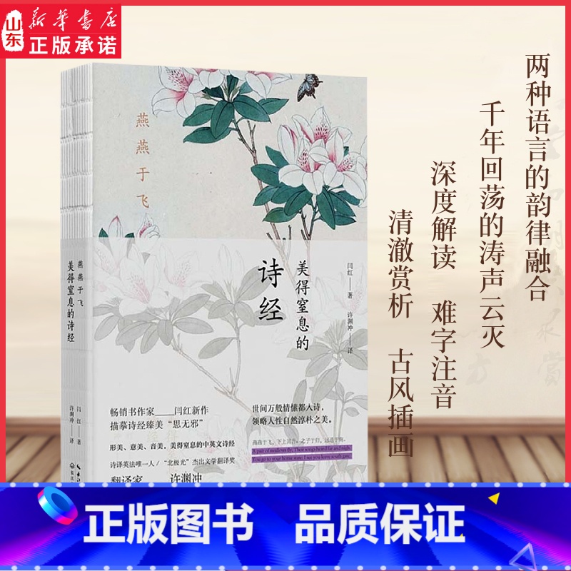 [正版]燕燕于飞美得窒息的诗经许渊冲译英汉对照在诗经的字里行间感受人类多彩的浪漫诗三百一言以蔽之思无邪深度解析 书店书