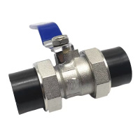 伟鹏双兴 PE双热熔活接球阀 PE32(1寸) 个