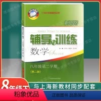新思路 数学 八年级下 八年级 [正版]新思路辅导与训练数学 物理 八年级上册下册 8年级/第一二学期 第二版 上海版
