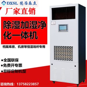 德西森立DXSL-60图书馆档案室实验室商用除湿加湿一体机恒湿机