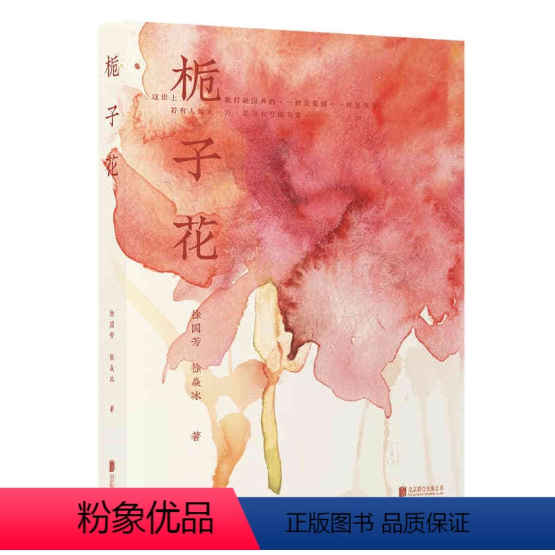 [正版]直营 栀子花 这世上能打破国界的一样是爱情一样是战争 情节曲折文笔优美可读性强 爱情战争小说书籍