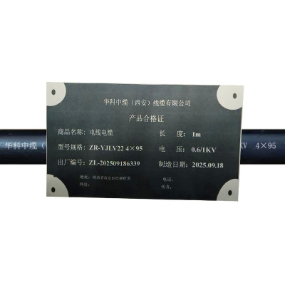华科中缆 电线电缆 ZR-YJLV22 4*95 米