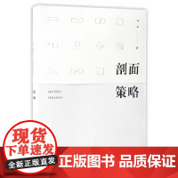 剖面策略