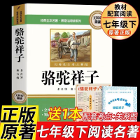 正版新书]骆驼祥子 七年级下册课外书配套人教版阅读书籍正版原