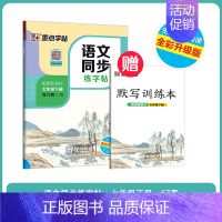 七年级下册[送默写本] [正版]一年级二年级三小学练字帖每日一练同步人教版2024年小学生四五六年级初中生七八年级上册下