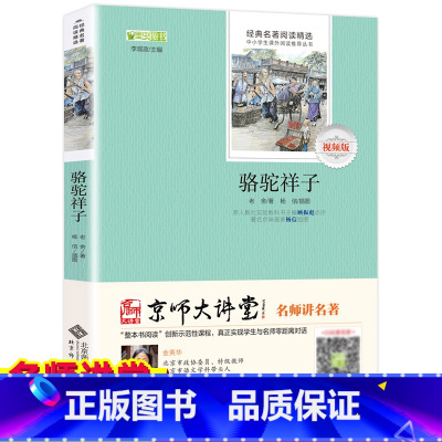[正版]骆驼祥子老舍初中语文寒假必读丛书初中生课外阅读书籍12-15岁 骆驼祥子导读点评版知识考点北京师范大学出版