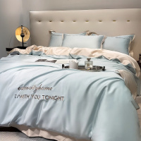 新款冰丝高级感四件套轻奢丝滑床上被套春夏季三件套床单床笠