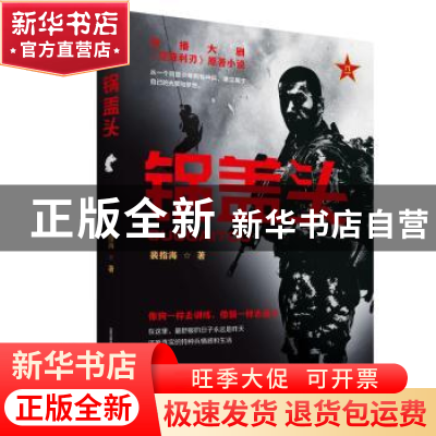 正版 锅盖头 裴指海 北岳文艺出版社 9787537860543 书籍