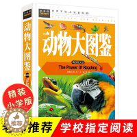 [醉染正版]动物大图鉴 (精装彩图版) 常春藤系列科普书籍正版 动物大百科全书 儿童课外书籍大全 动物世界少儿童