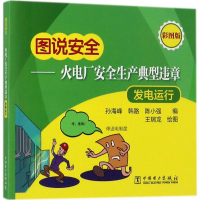 音像火电厂安全生产典型违章孙海峰,韩路,陈小强 编;王瑞龙 绘图