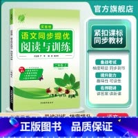 语文 二年级上 [正版]2024年秋 小学语文实验班同步提优阅读与训练二年级上册人教版 小学生语文2年级上册RJ同步专项