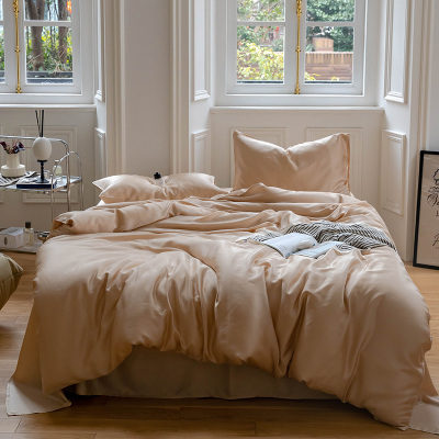 60兰精天丝四件套