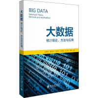 [M]大数据:统计理论.方法与应用-9787301307106