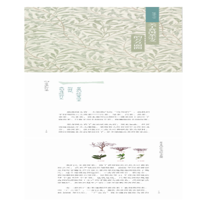 [M]普洱知行录 马嘉 著 -9787558741661