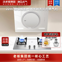 名气白色抽油烟机A3583-Q侧吸小尺寸22m³360°环形拢烟磁吸导风板易清洁 +5.0KW燃气灶A6510G