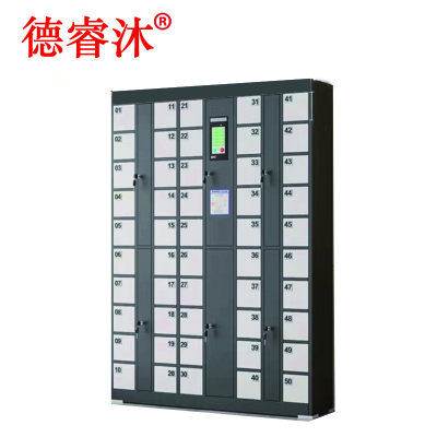 德睿沐 人脸识别柜智能存储物品柜50门 DRM-03 个