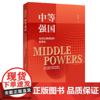 正版 中等强国:全球治理崛起的新角色 李立丰 著 9787522826622
