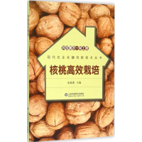 正版新书]科技惠农一号工程核桃高效栽培张美勇9787533180034