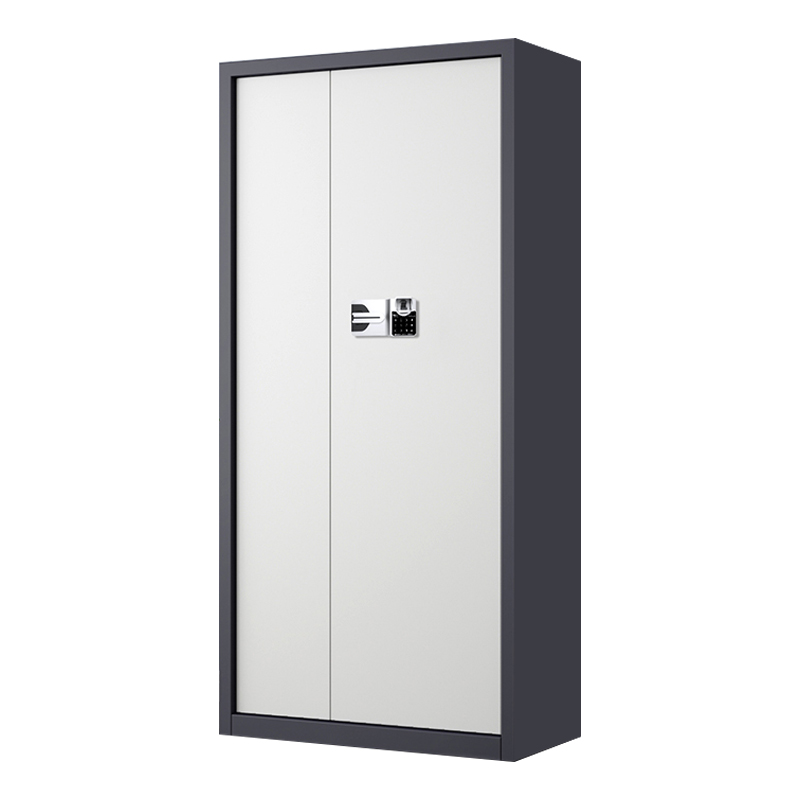 利特莱依指纹电子保密柜钢制密码文件柜档案柜矮柜保密资料柜办公柜通门灰白色:国保指纹锁