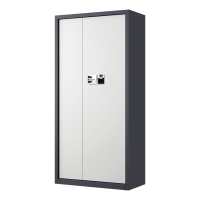 利特莱依指纹电子保密柜钢制密码文件柜档案柜矮柜保密资料柜办公柜通门灰白色:国保指纹锁