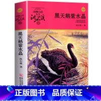 [正版]黑天鹅紫水晶 沈石溪动物小说品藏书系升级版 小学生课外阅读书籍6-12岁青少年版儿童文学三四五六年级儿童文学故