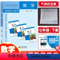 [正版] 2023新版教师教学用书七年级下册数学北师大版 初一下册数学教参教案北京师范大学出版社 7年级数学教参教案下