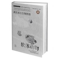 [N]湖北省古生物图册(3软体动物)(精)-9787570606115