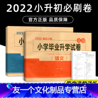 2本 湖北小考毕业升学试卷真题[语文+数学] 小学通用 [友一个正版]语文数学英语小升初试卷湖北名校冲刺初一入学分班必刷