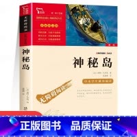 神秘岛 [正版]神秘岛 凡尔纳著 彩图插画版 三四年级课外书必读老师经典书目 小学生阅读课外书籍青少年经典读物 适合小学