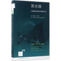 音像黑丝路