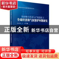正版 经济相互作用下与产业进化下全球经济和气候保护问题研究 顾