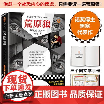 荒原狼 治愈一个社恐内心的焦虑,只需要读一遍荒原狼 黑塞 文泽尔 诺奖 社交恐惧 小说 名著 专家导读 人物关系图 精装