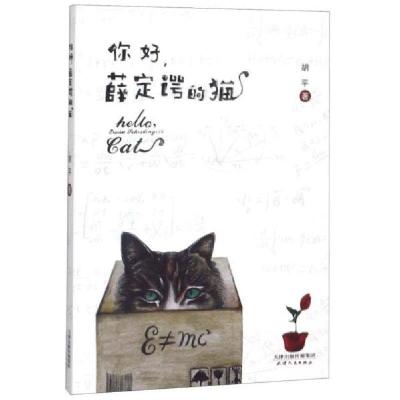 正版新书]你好薛定谔的猫胡平9787201144573
