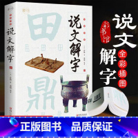 [小学通用]说文解字 小学通用 [正版]小学通用小学生说文解字词通解语文一二三四年级儿童少儿学习汉字演变图解象形字典给孩