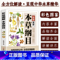 [正版]彩图图解本草纲目原版全集李时珍白话版中草药彩图大全中医验方养生大全常见中药材功效解读知识入门对症调理养生百病食