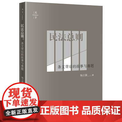 C正版 民法总则:条文背后的故事与难题 杨立新 民法总则 民事法律行为的附条件和附期限