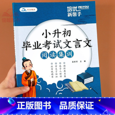 小升初文言文集训 小学升初中 [正版]文言文小升初毕业考试文言文阅读集训小升初阅读理解专项训练小升初必刷题人教版小升初文
