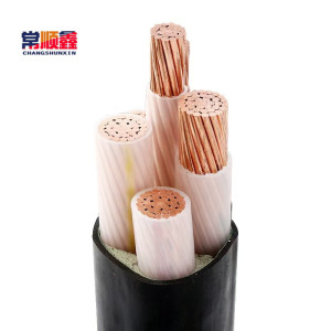 常顺鑫 低压铜芯电缆ZC-YJV3×10+1×6 米