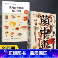 [正版]全2册 实用蘑菇鉴别宝典+菌中毒 蘑菇使用图鉴书籍食用蘑菇菌菇松茸菌类菌毒蘑菇识别方法采书蘑菇百科大全书