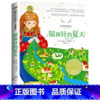 银顶针的夏天 [正版]银顶针的夏天书 国际大奖儿童文学美绘典藏版 9-10-12岁