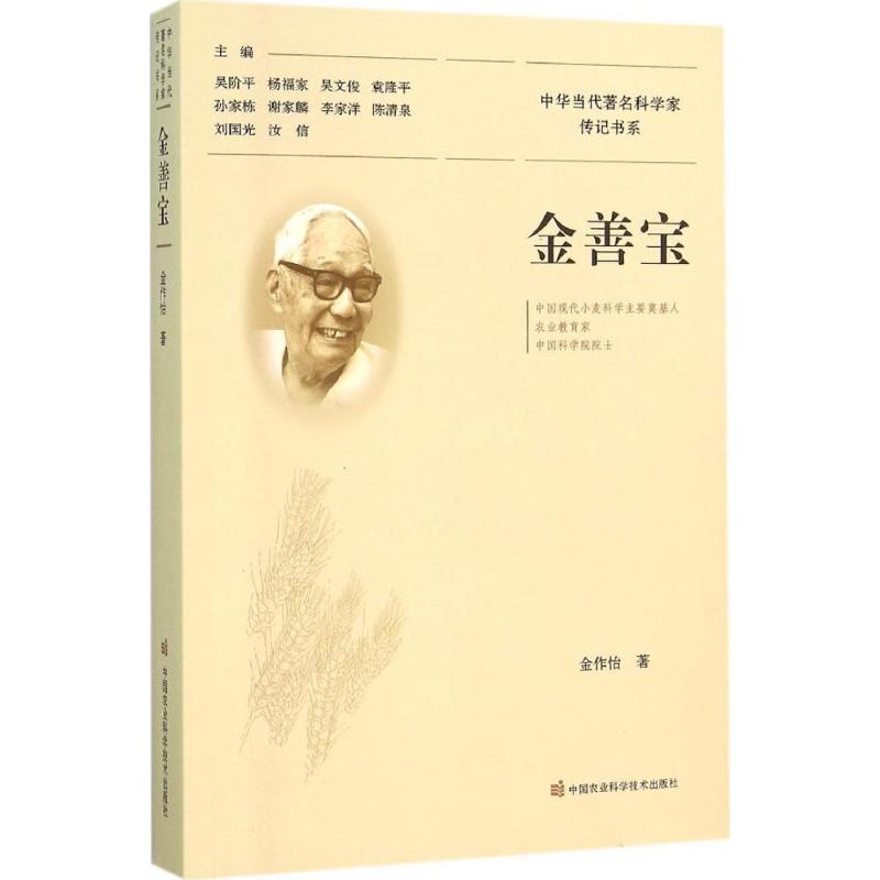 金善
